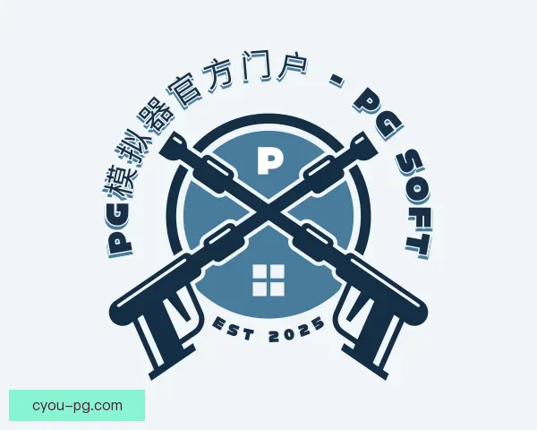 了解pg模拟器